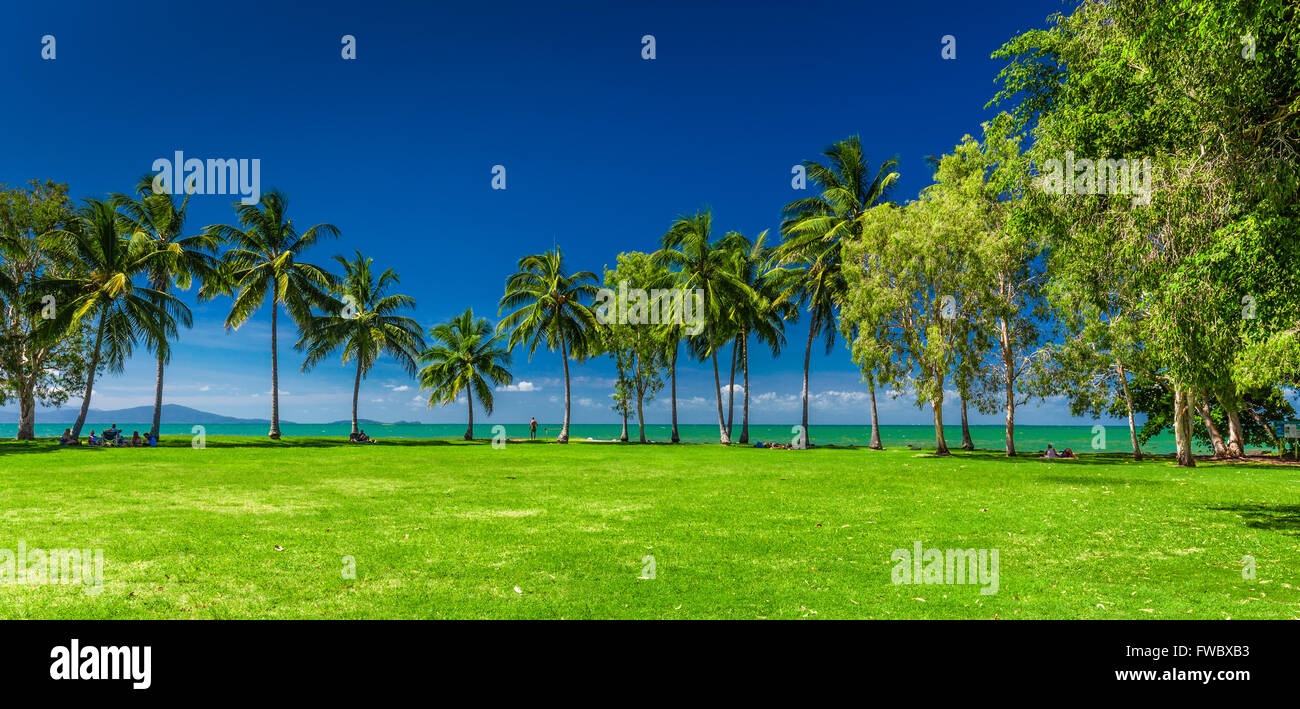 PORT Douglas, Australia - 27 marzo 2016. Rex Smeal Park in Port Douglas con palme tropicali e beach, Australia Foto Stock