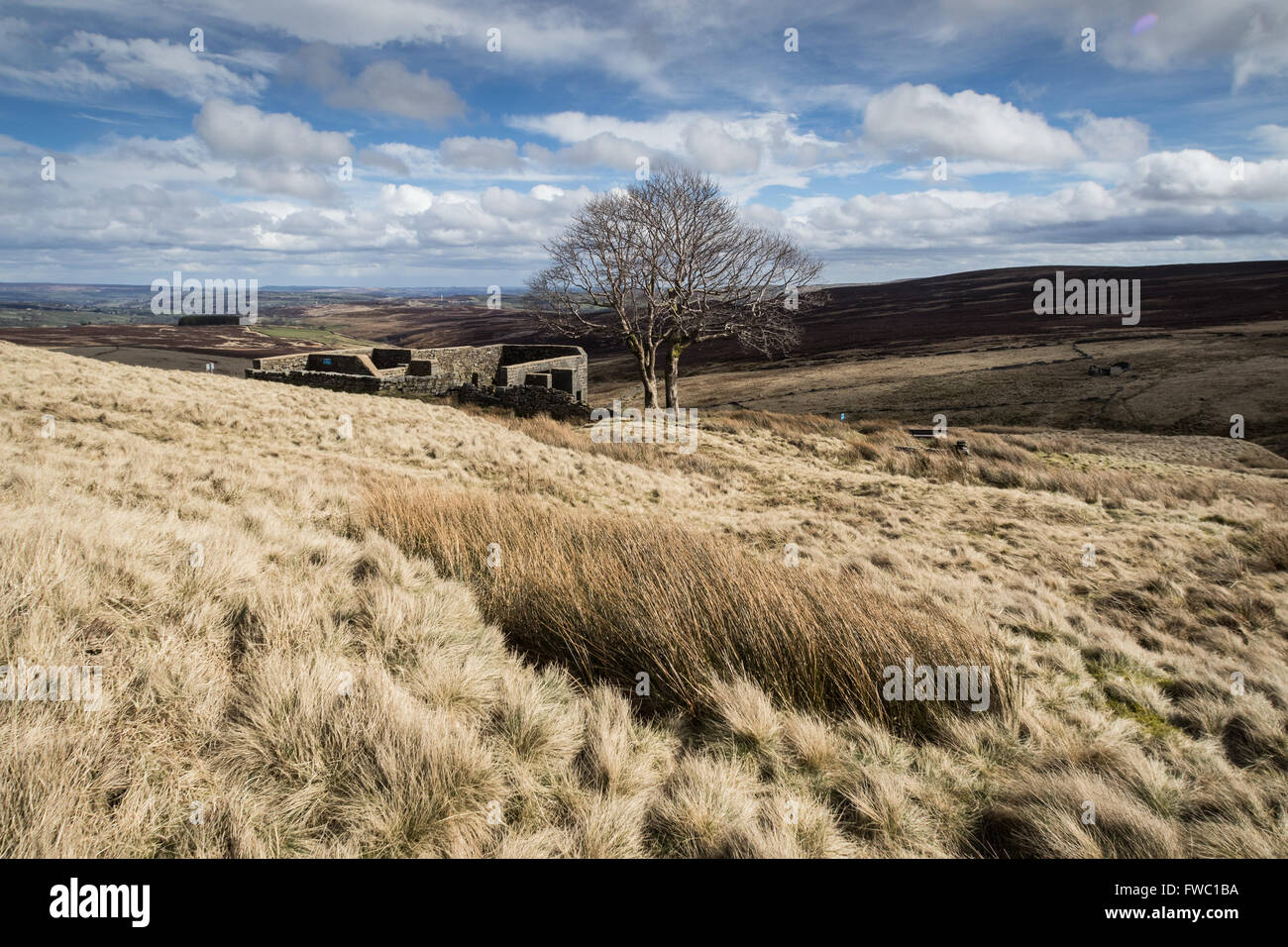 Le rovine di Top ambiti, rinomato impostazione per Wuthering Heights, su del The Pennine Way vicino a Hereford Foto Stock