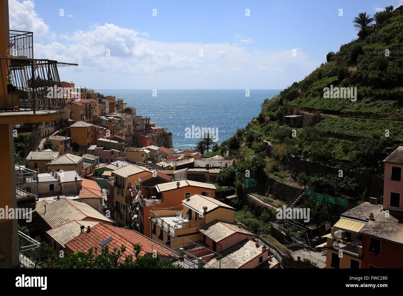 Guardando fuori il mediterraneo vedere a Manarola, Cinque Terre, Italia. Foto Stock