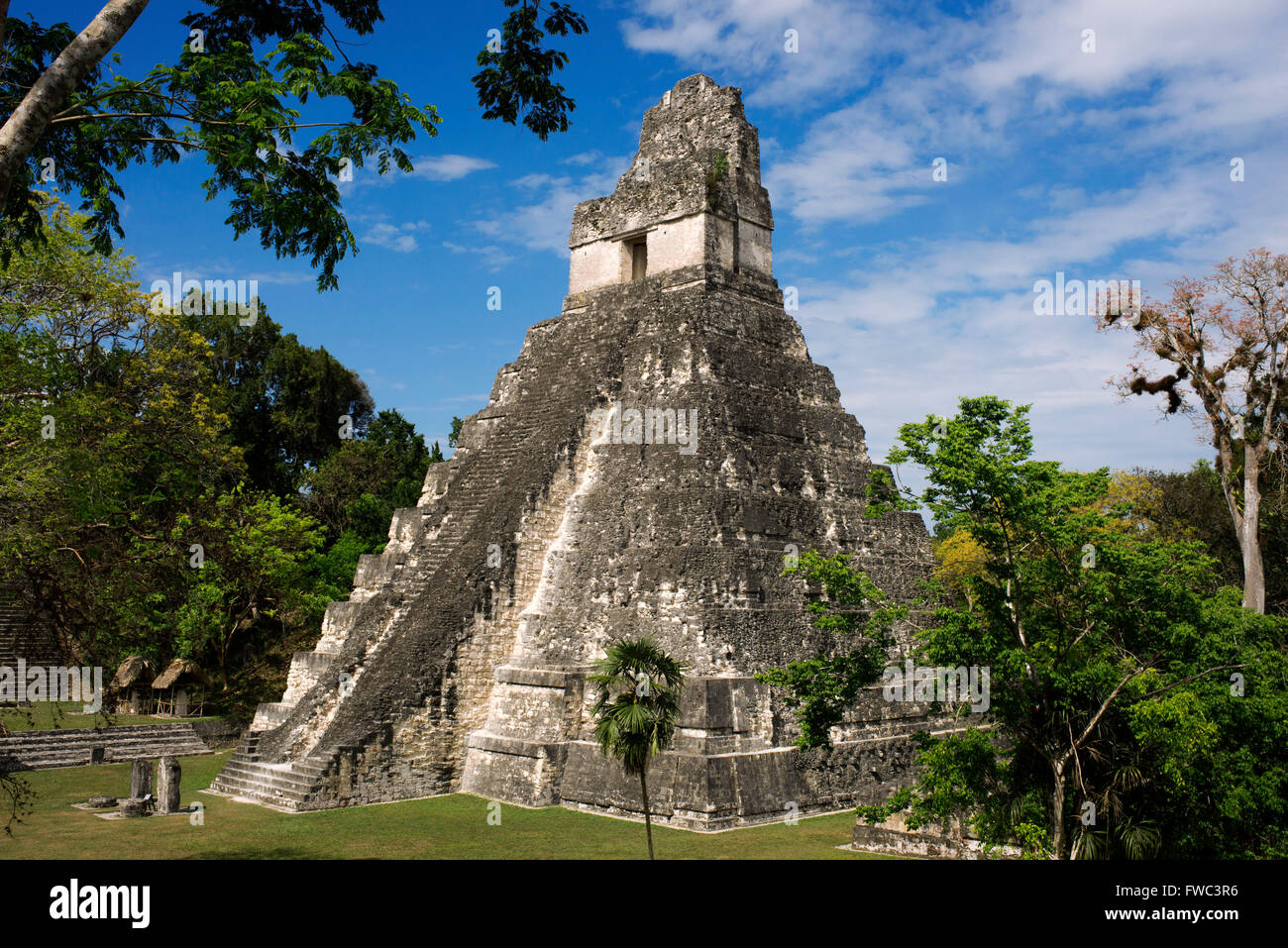 La piramide di Tikal rovine (Sito UNESCO), Guatemala. Grande Tempio Jaguar Tempio (I) precolombiana sito maya di Tikal, El Petén National Foto Stock