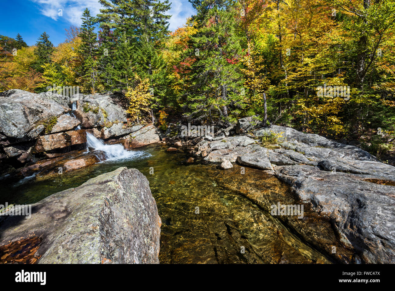 Golden caduta delle foglie si riflette nel fiume Ellis, White Mountain National Forest, NH Foto Stock