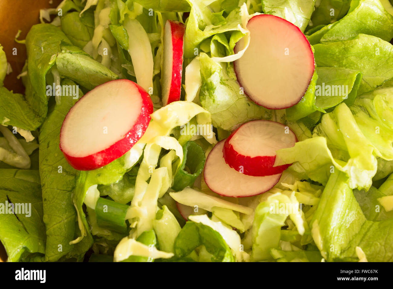 Insalata primaverile, lattuga, Rafano, cavolo, cipolla. Foto Stock