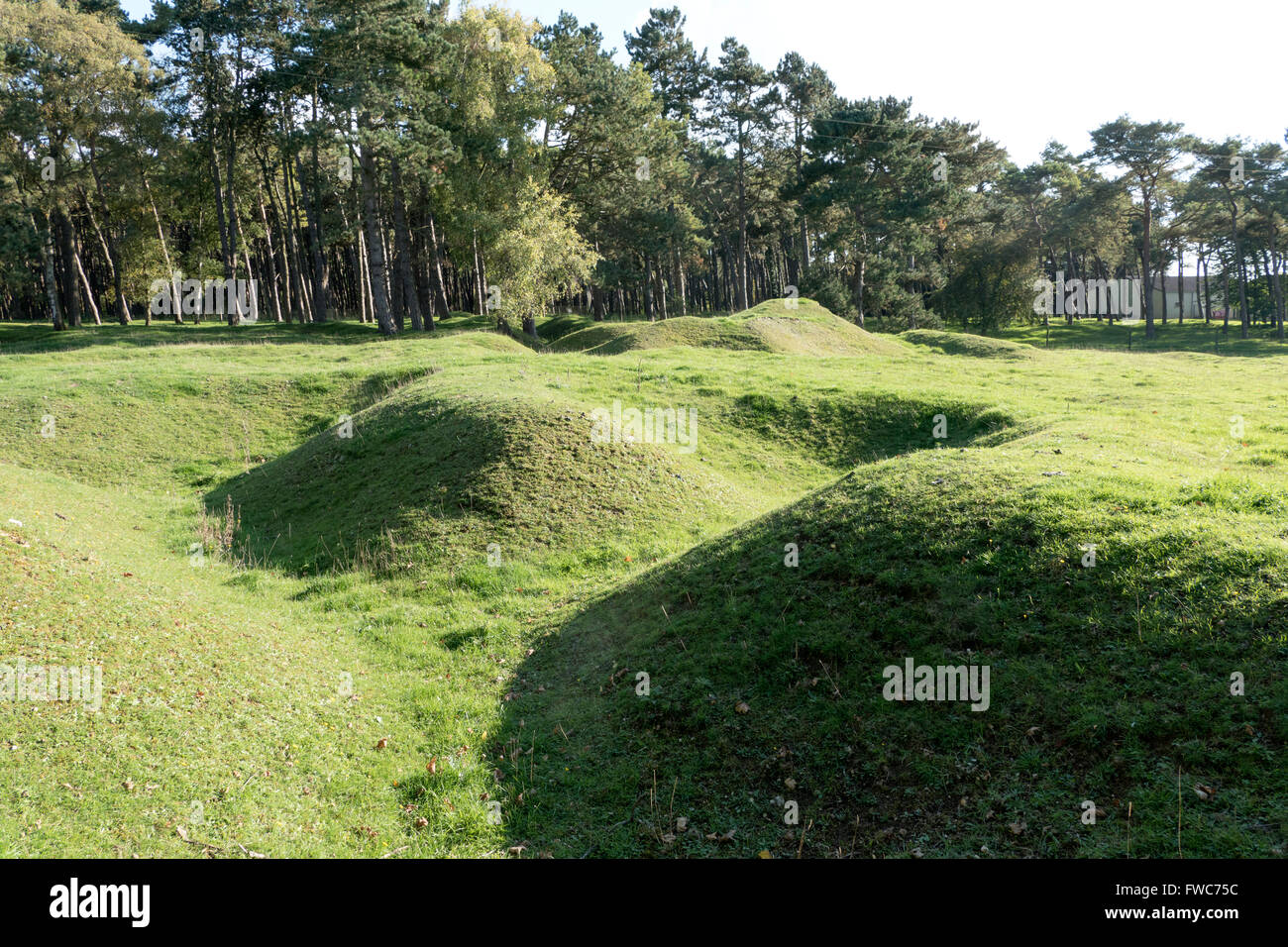 La Canadian National Vimy Park è un memoriale in Francia. Foto Stock