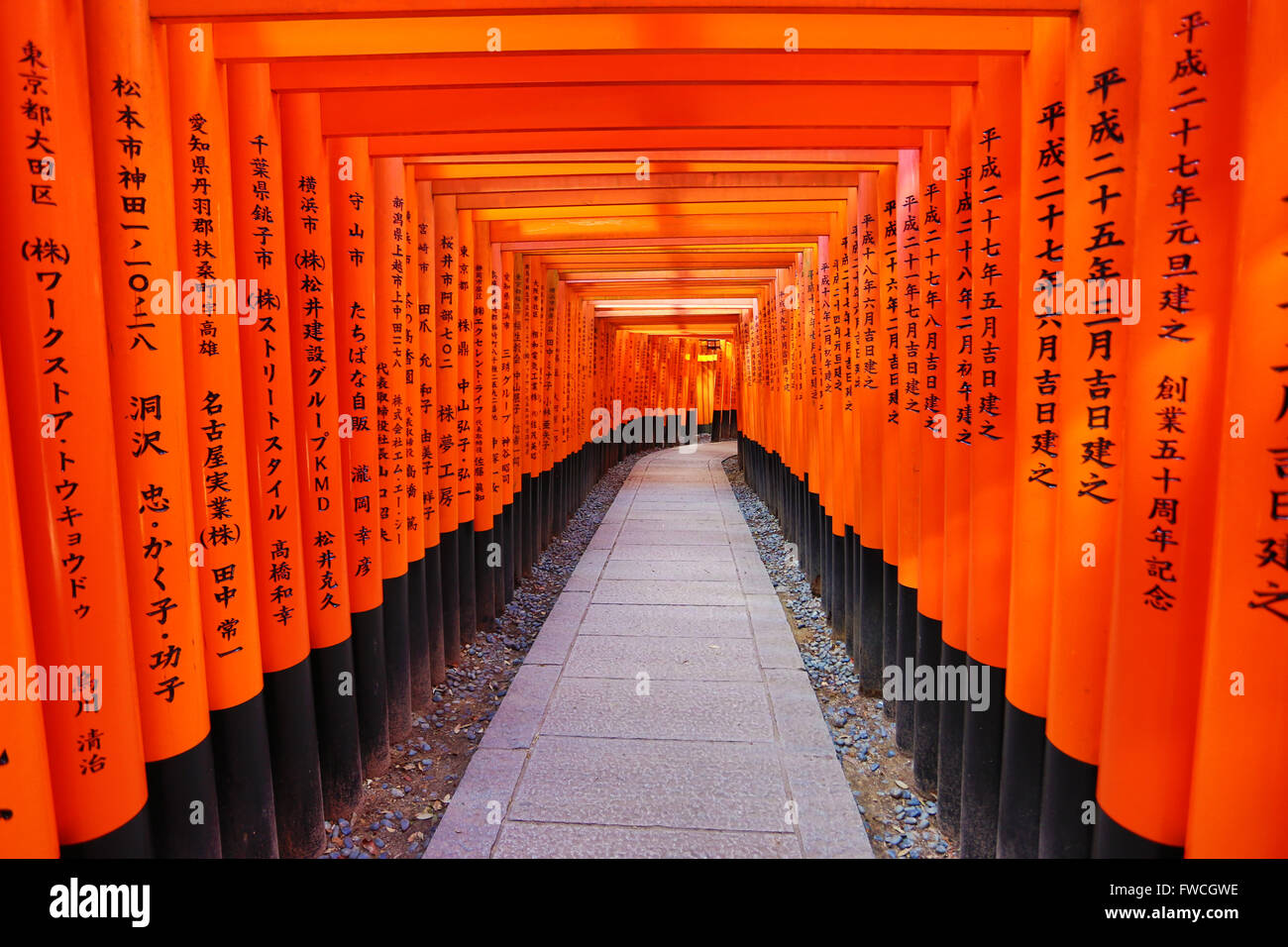 Senbon Torii, tunnel di red torii gates, A Fushimi Inari sacrario scintoista a Kyoto, Giappone Foto Stock