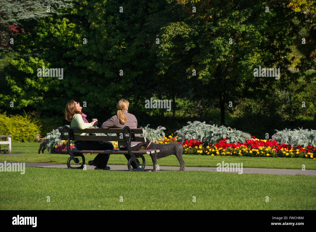 Giardini della valle, Harrogate, nello Yorkshire, Inghilterra - 2 femmina amici (con cane) sedersi su un banco, ridere e chat in questo splendido e tranquillo e soleggiato parco. Foto Stock