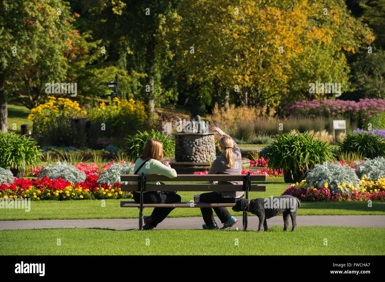 Giardini della valle, Harrogate, nello Yorkshire, Inghilterra - 2 amiche con un cane, sedersi, rilassarsi e chat su un banco di lavoro, in questo bellissimo e colorato, soleggiato parco. Foto Stock