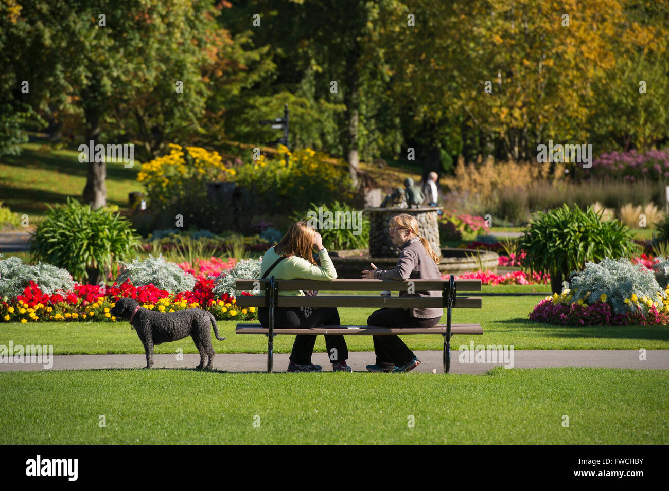 Giardini della valle, Harrogate, nello Yorkshire, Inghilterra - 2 amiche con un cane, sedersi, rilassarsi e chat su un banco di lavoro, in questo bellissimo e colorato, soleggiato parco. Foto Stock