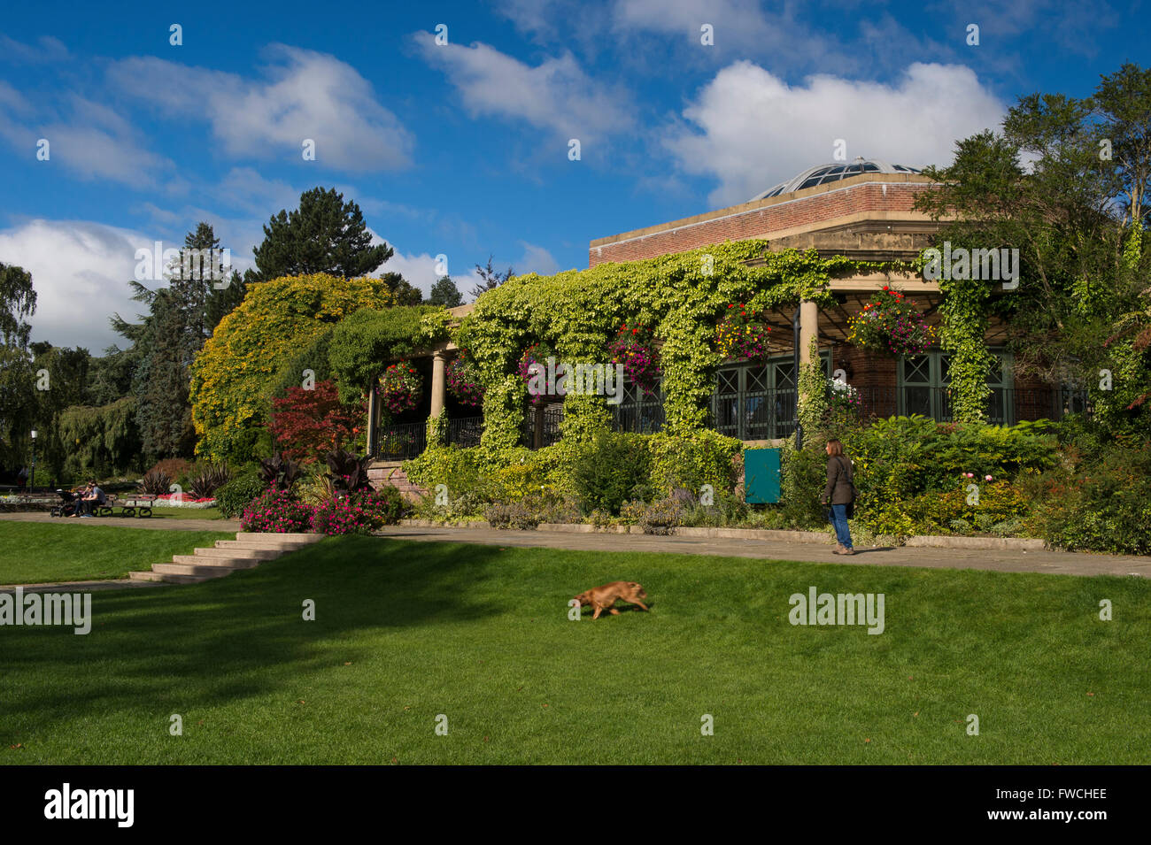 Giardini della valle, Harrogate, nello Yorkshire, Inghilterra - signora con un cane, passeggiate con la Art Deco Sun Pavilion in questa bella, soleggiato e tranquillo parco. Foto Stock