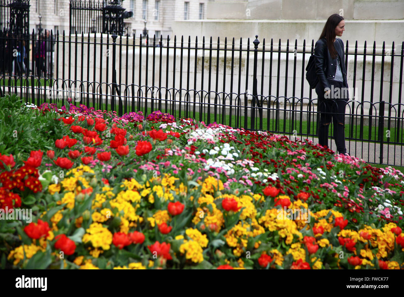 St James Park, Londra 3 Aprile 2016 - Tourist godendo di un caldo pomeriggio a St James Park, Londra Credito: Dinendra Haria/Alamy Live News Foto Stock