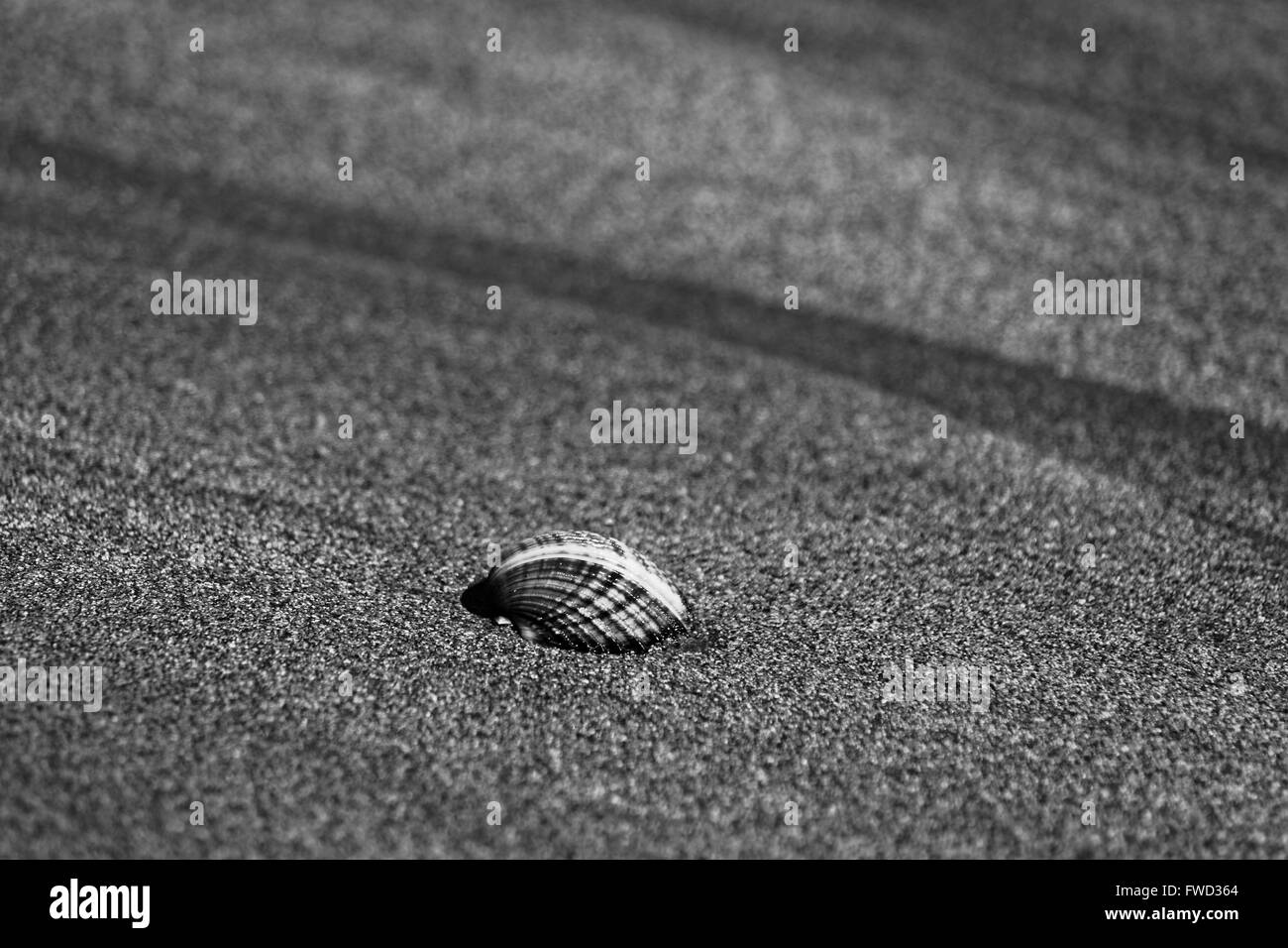 Incredibile Zante Beach paesaggio, isola greca , fotografia in bianco e nero Foto Stock