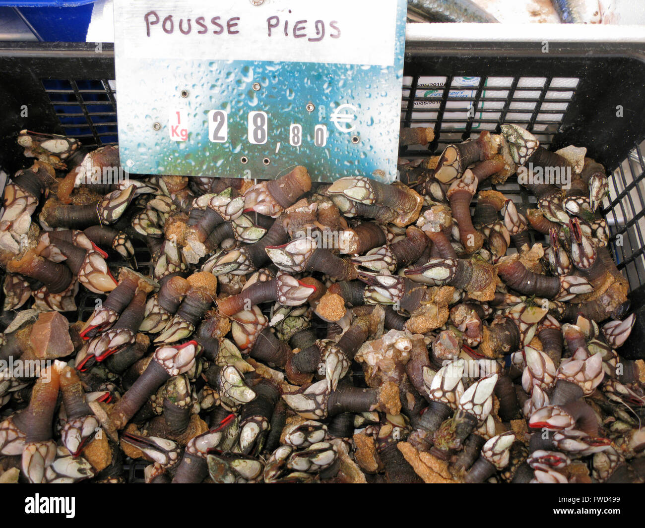 Pousse-pieds in vendita su un mercato francese (Morlaix, Bretagna) Foto Stock