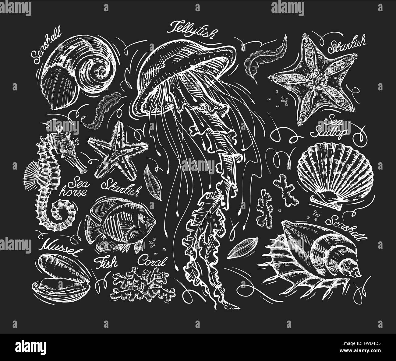 Mano bozzetto meduse, stelle marine, capesante, conch, corallo, le cozze, pesce, cavallo di mare. Illustrazione Vettoriale Illustrazione Vettoriale