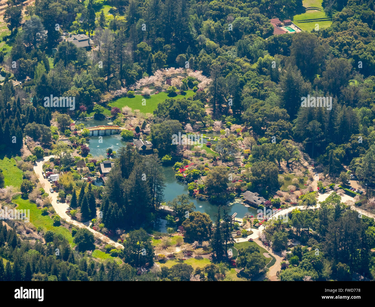 Woodside, California, US, giardino, Silicon Valley, California, Stati Uniti d'America, Santa Clara, California, USA, San Jose Foto Stock