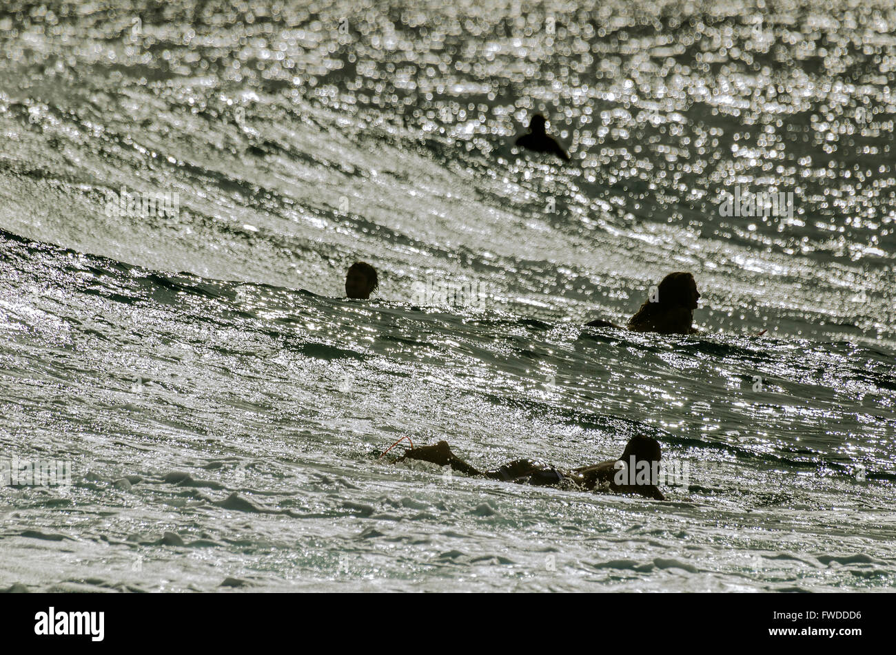 Gold Coast Australia surf - SURFERS PARADISE Foto Stock
