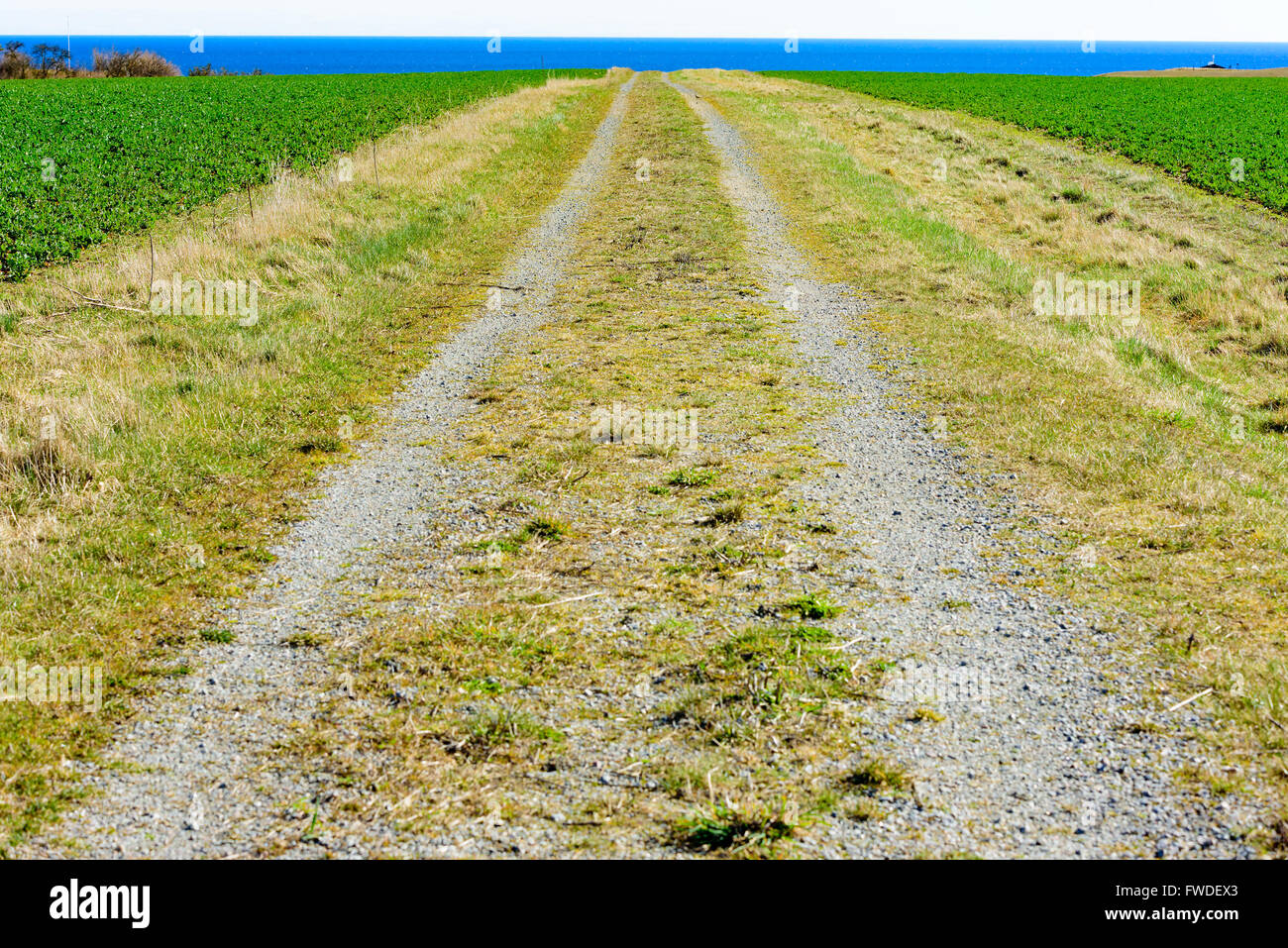 Un paese dritta strada che conduce al mare in lontananza. I campi degli agricoltori su entrambi i lati della strada. Il tempo è soleggiato e caldo Foto Stock