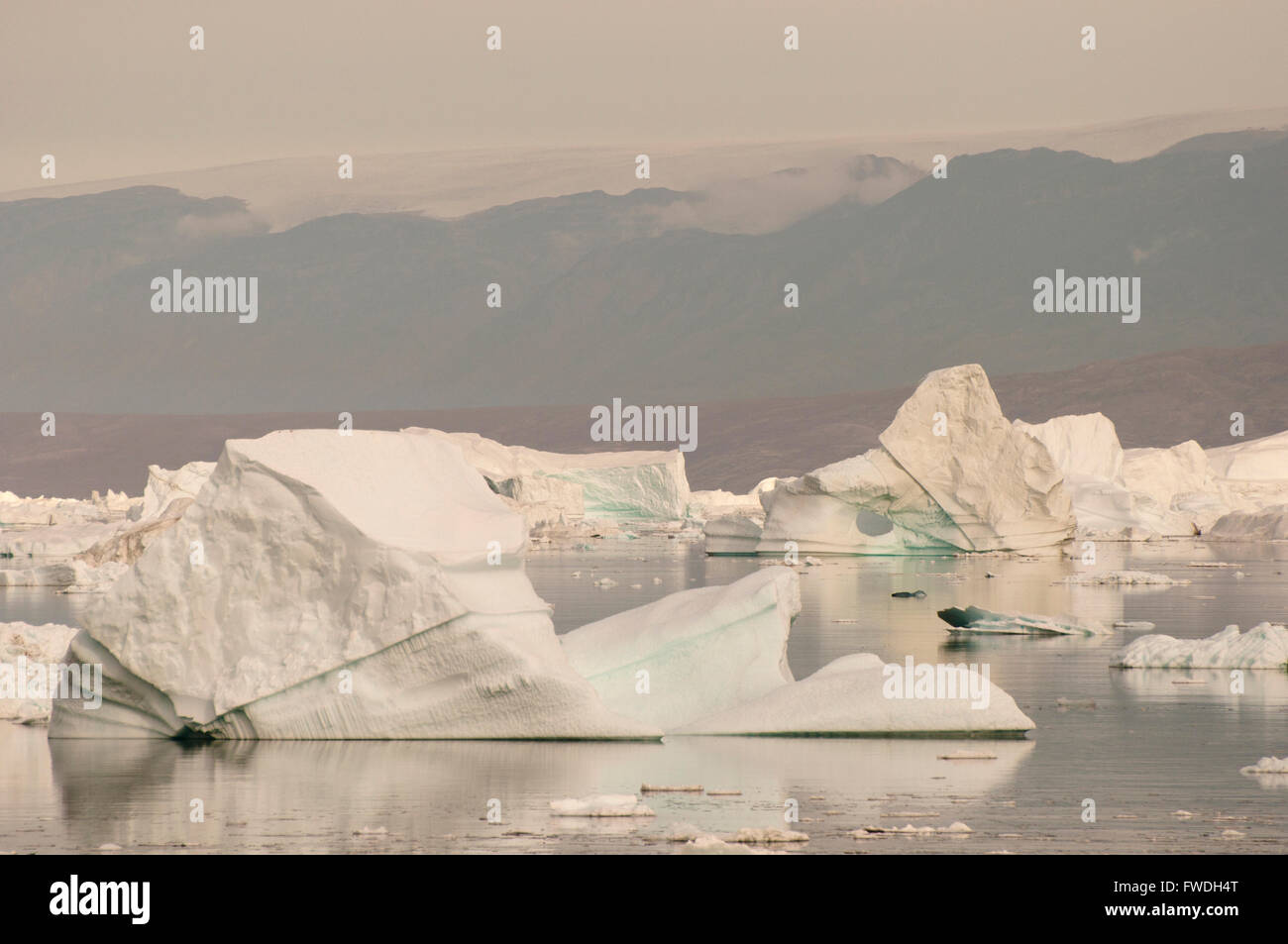 Iceberg - Scoresby Sound - Groenlandia Foto Stock