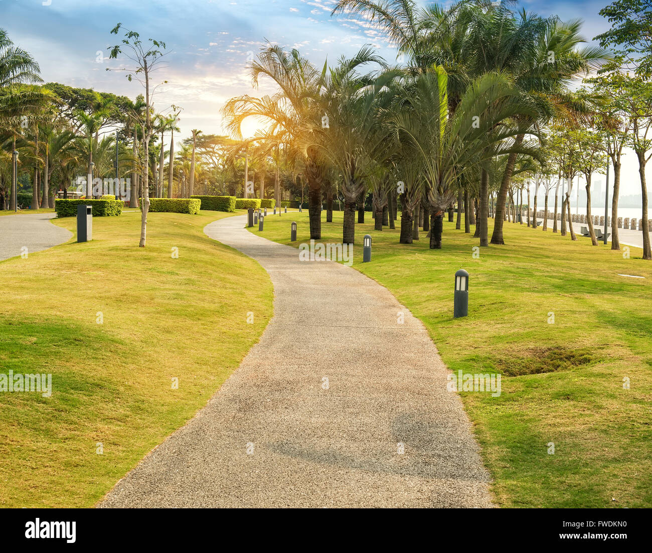 La passerella in un bellissimo parco con palme Foto Stock