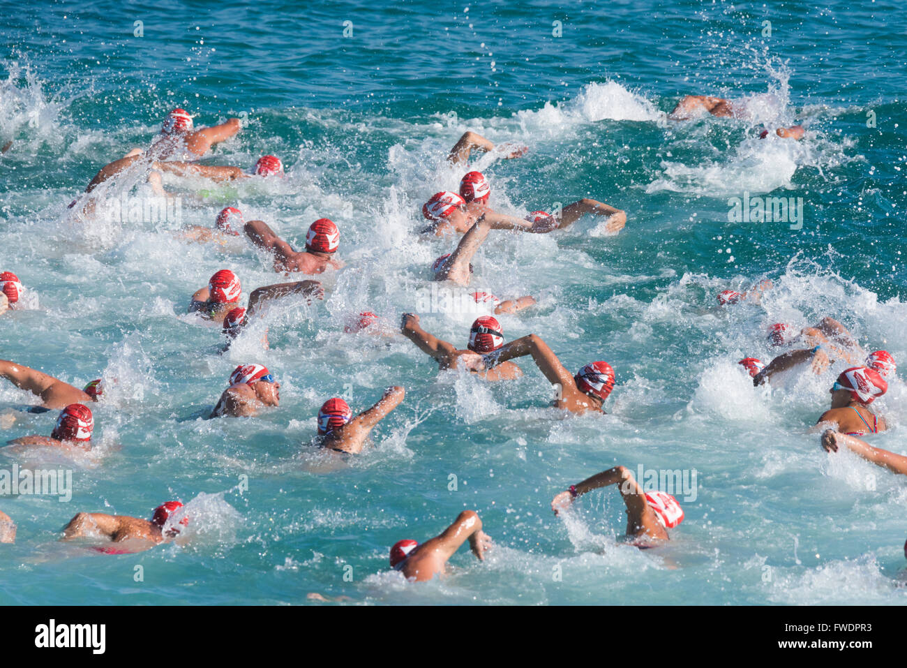 Mare aperto gara di nuoto. Tarifa, Costa de la Luz, Cadice, Andalusia,  Spagna meridionale Foto stock - Alamy