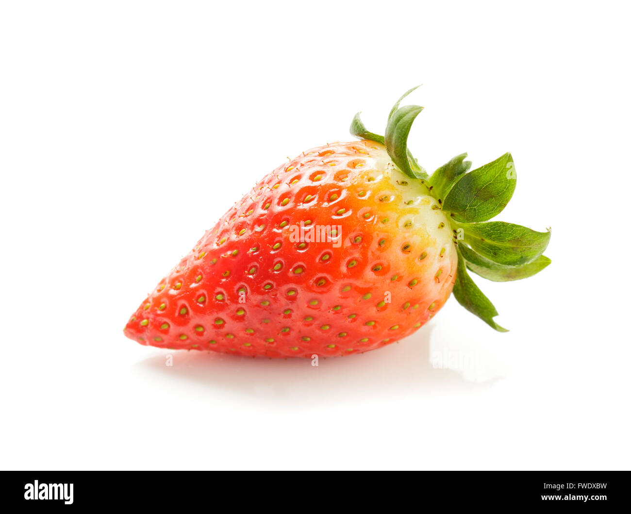 Fragola singolo Foto Stock