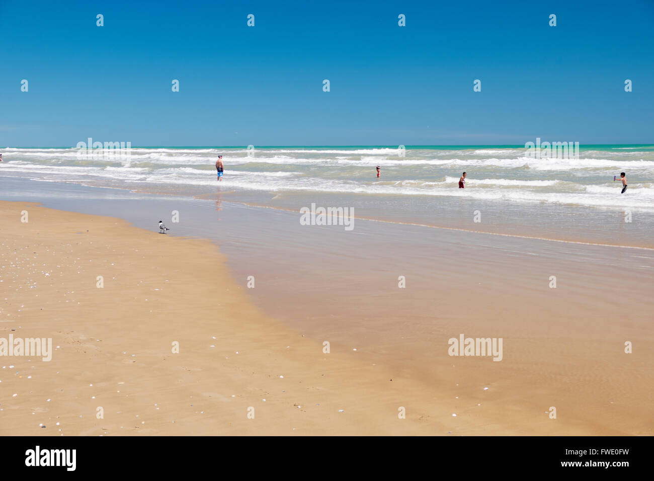 I bambini che giocano nel surf a South Padre Island, Texas, Stati Uniti d'America Foto Stock