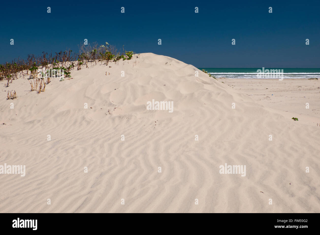 Dune di sabbia su South Padre Island, Texas, Stati Uniti d'America, con il Golfo del Messico in background. Foto Stock