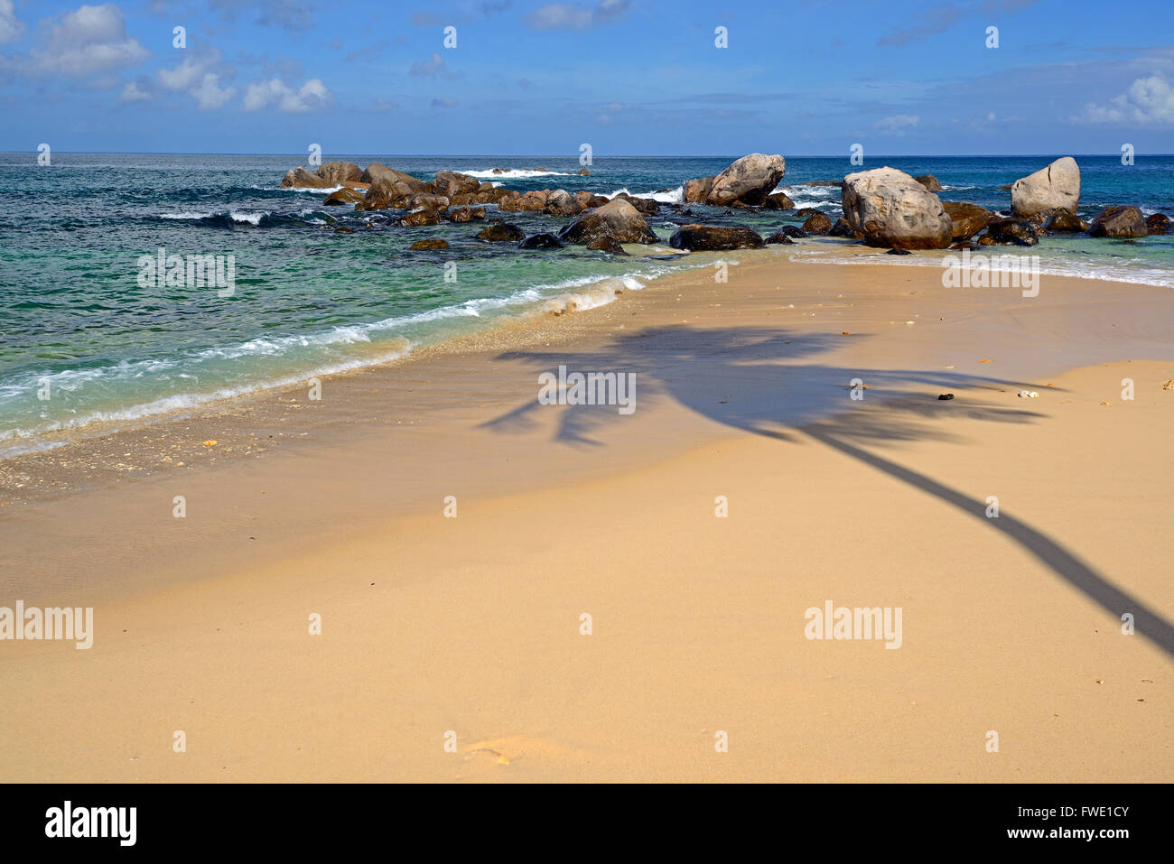 Frisch gefangene Fische zum Verkauf, im Fischmarkt Sir Selwyn Selwyn-Clarke Markt, Victoria, Insel Mahe, Seychellen Foto Stock