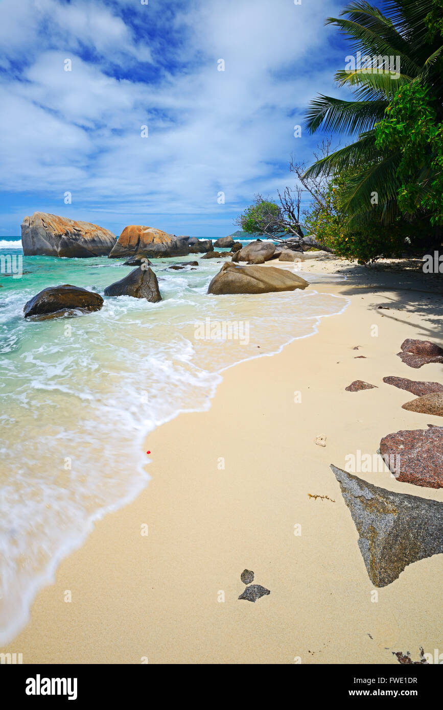 Uebergrosse Teekanne und Teetasse auf dem Gelaende der Seyte tè società, Insel Mahe, Seychellen Foto Stock