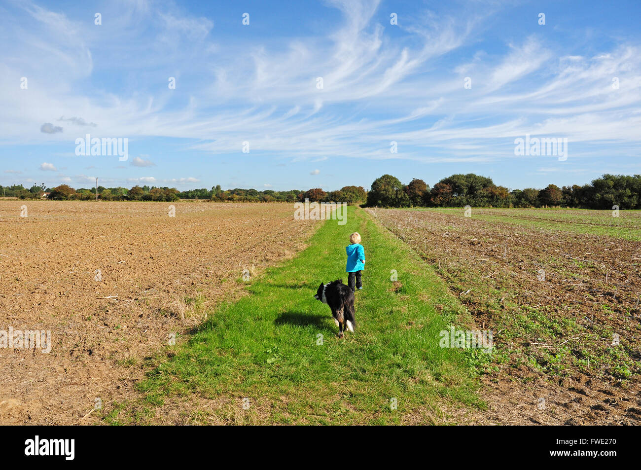 Il bambino corre con il cane Border Collie lungo il sentiero tra due campi. Mares incrocia le nuvole Foto Stock