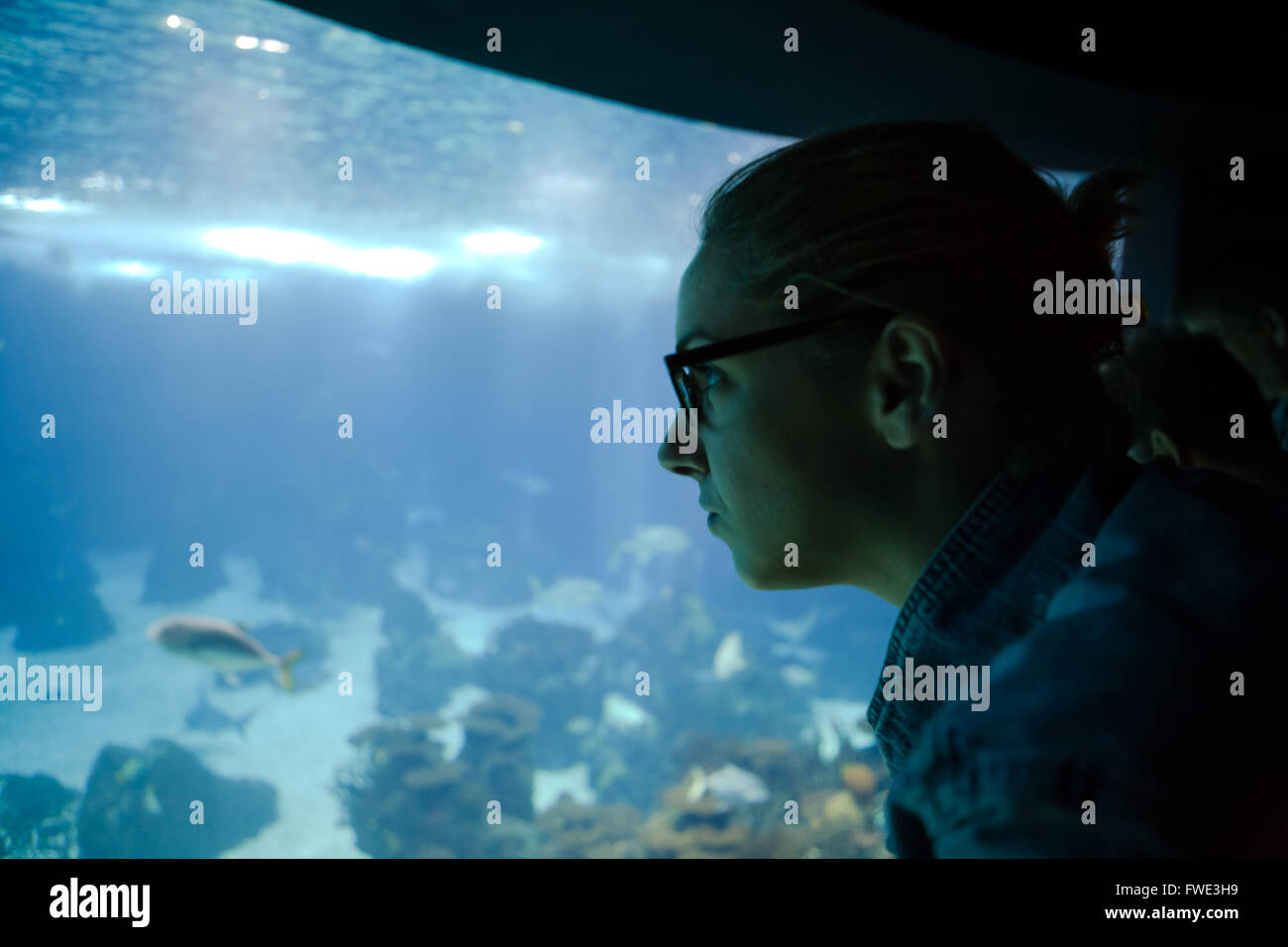 Giovane ragazza a guardare la vita marina nel Parco delle nazioni di Lisbona Oceanaruim, Portogallo Foto Stock