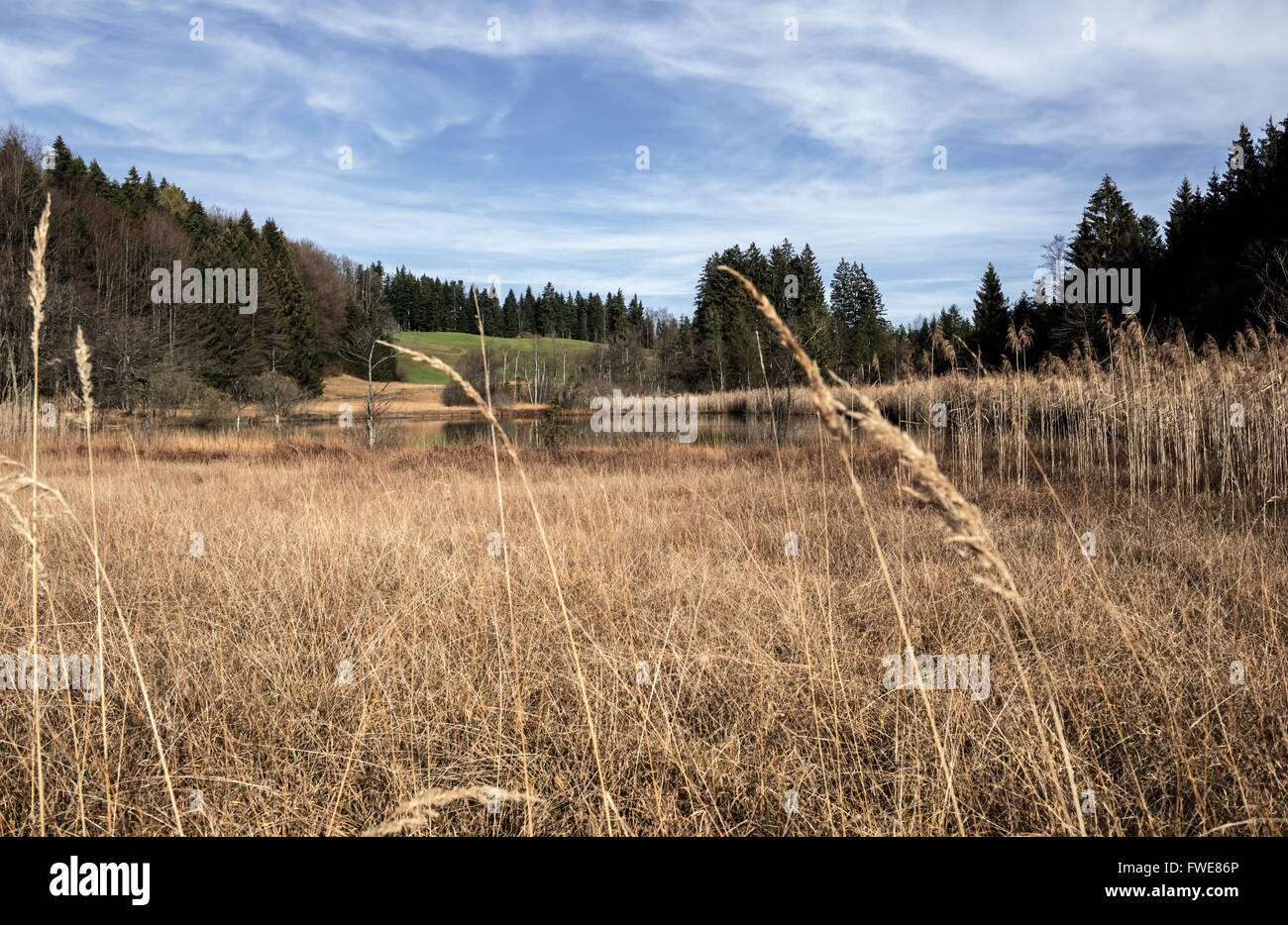 Alpi Foto Stock