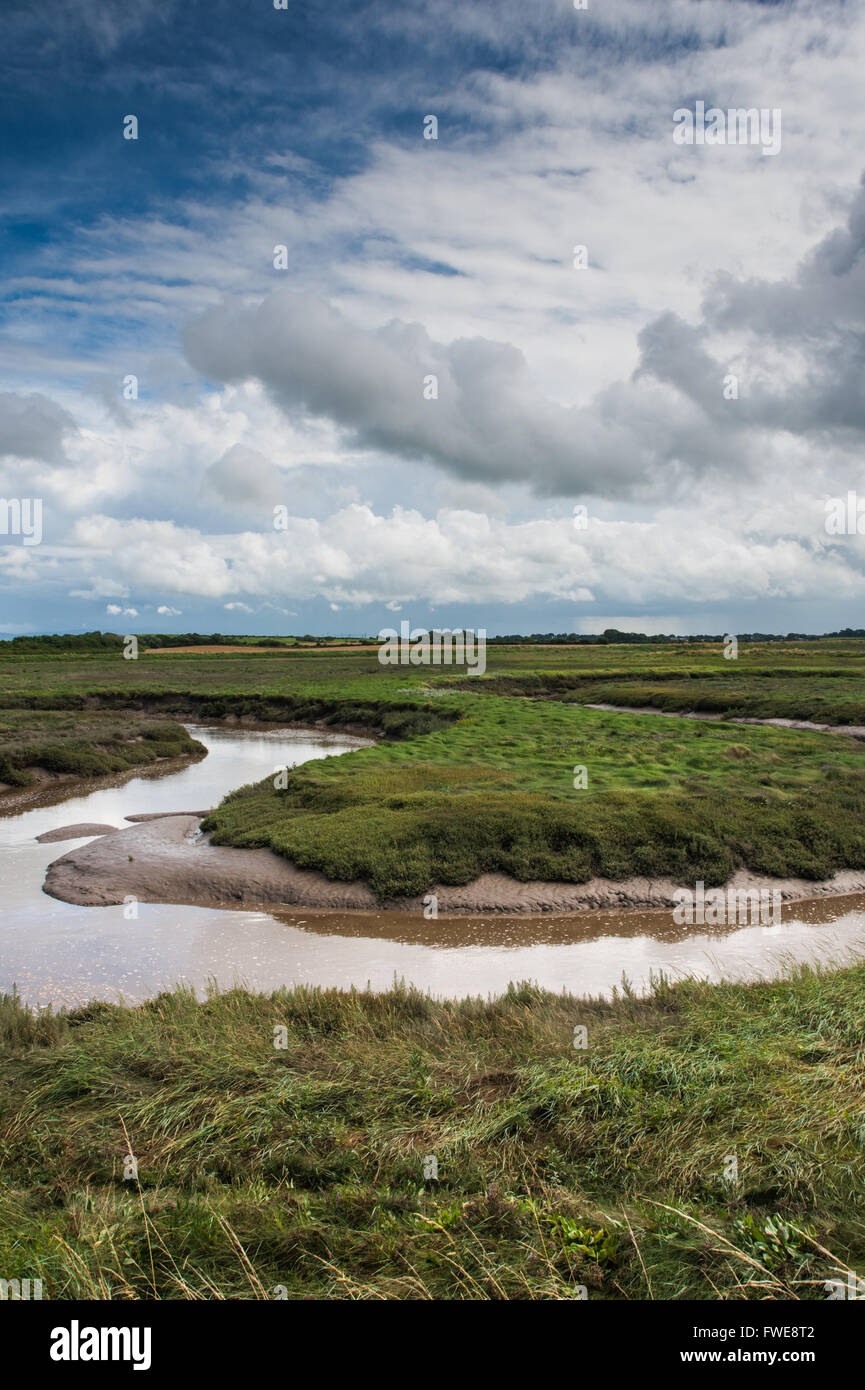Un torrente Barnaby sabbie della palude un SSSI sul fiume Wyre Estuary Lancashire Foto Stock