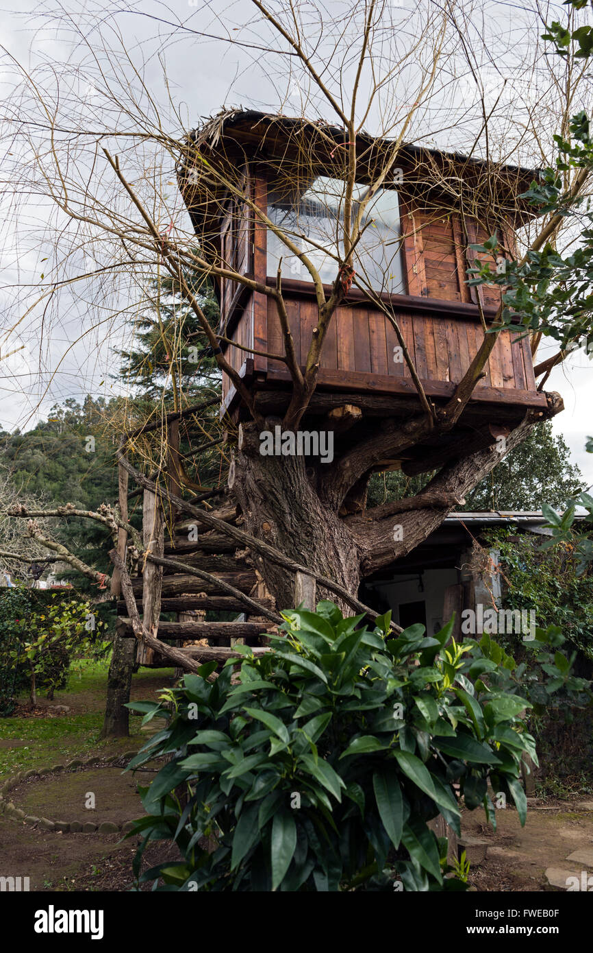 CASA SULL'ALBERO Foto Stock