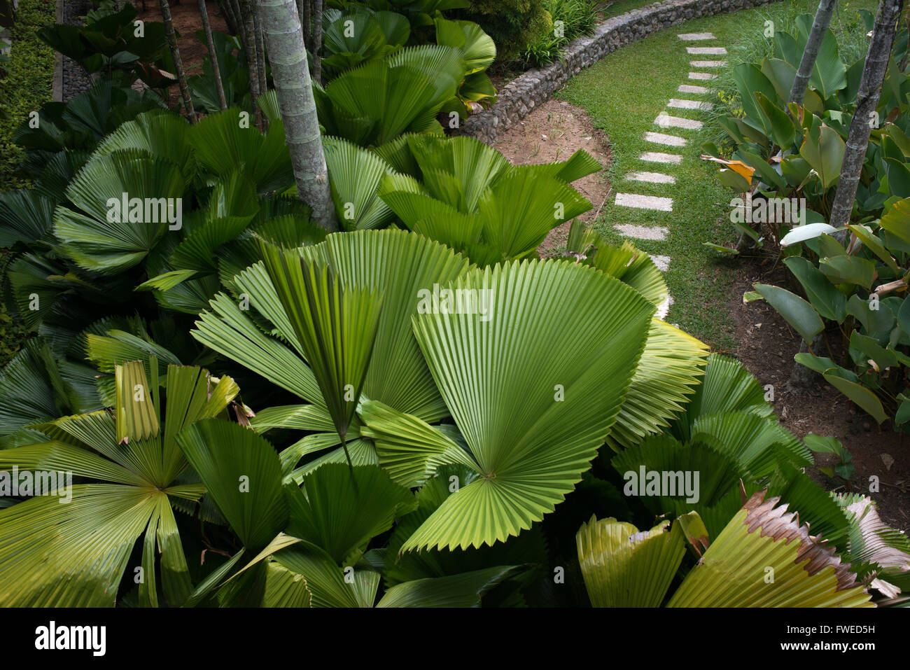 Giardino nel centro termale di Anantara Si Kao Resort & Spa, a sud di Krabi, Thailandia. Foto Stock