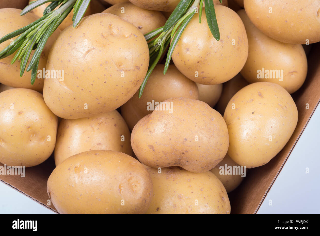 Il rosmarino e le patate in una finestra su sfondo bianco Foto Stock