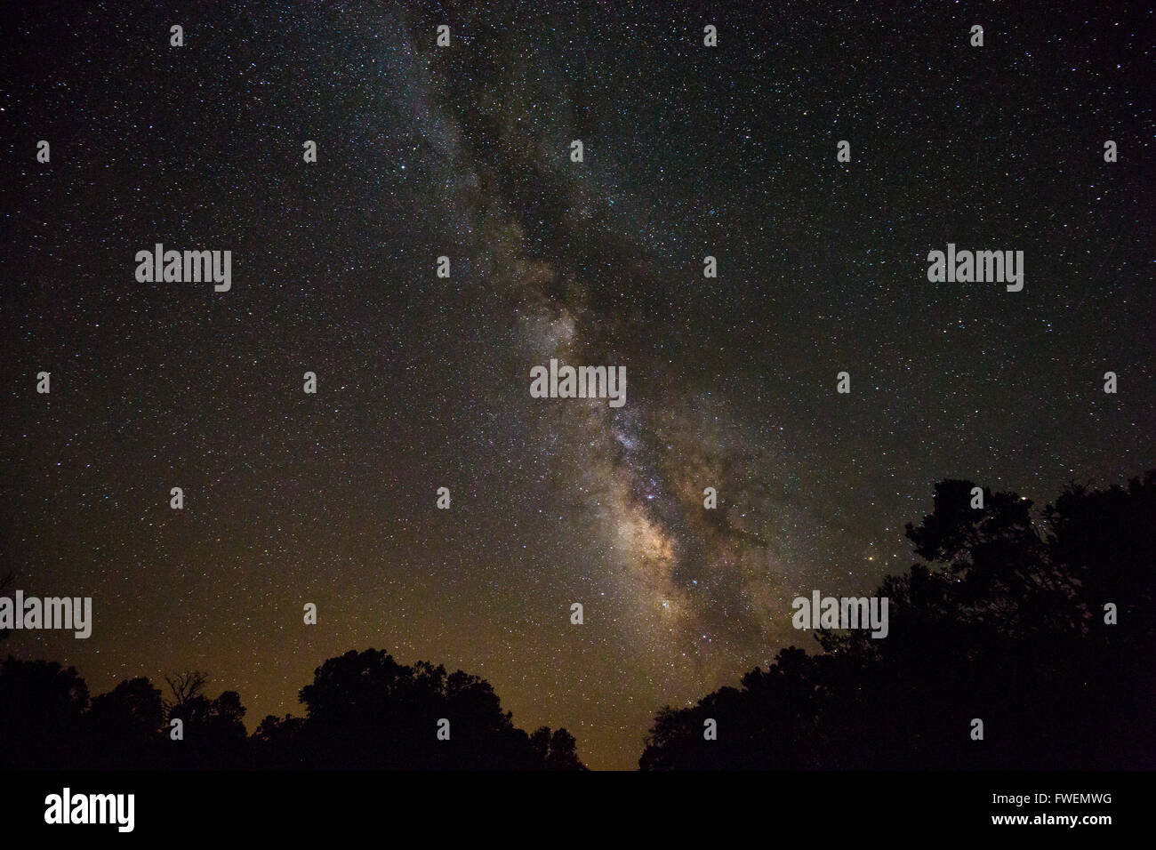 Via Lattea come visto dal bordo Sud del Grand Canyon, Arizona, Stati Uniti d'America Foto Stock