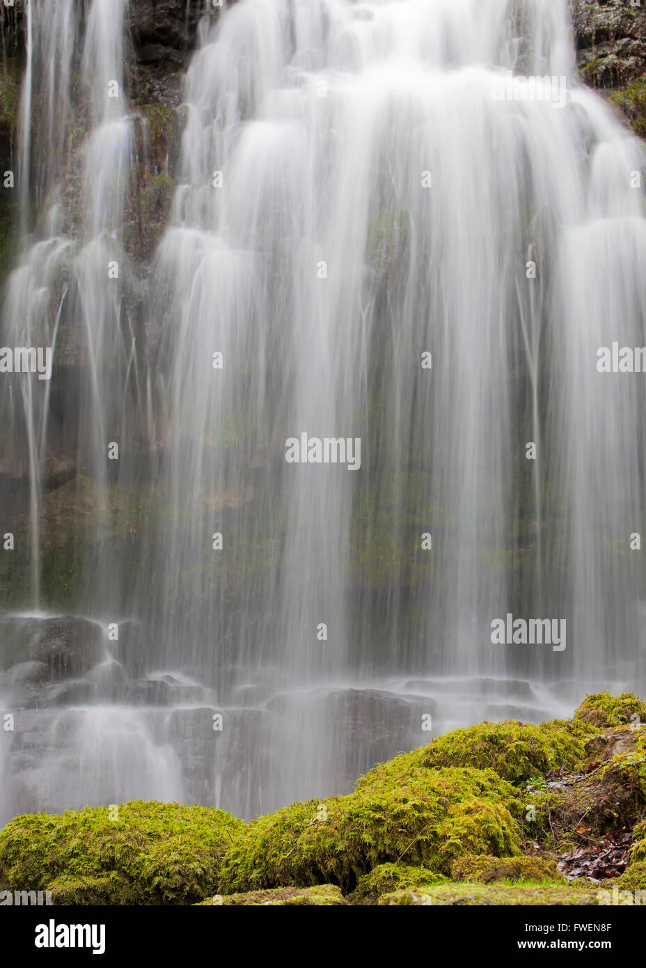 Scaleber Force Water Fall Yorkshire Foto Stock