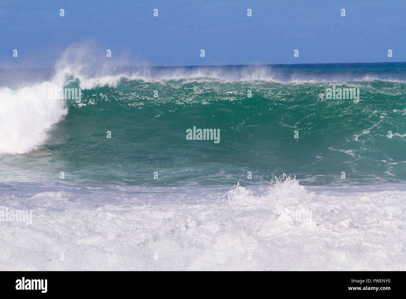 Il sogno di ogni surfista per trovare onde come questo. Queste onde sono alla tubazione sulla North Shore di Oahu durante l inverno in un Foto Stock