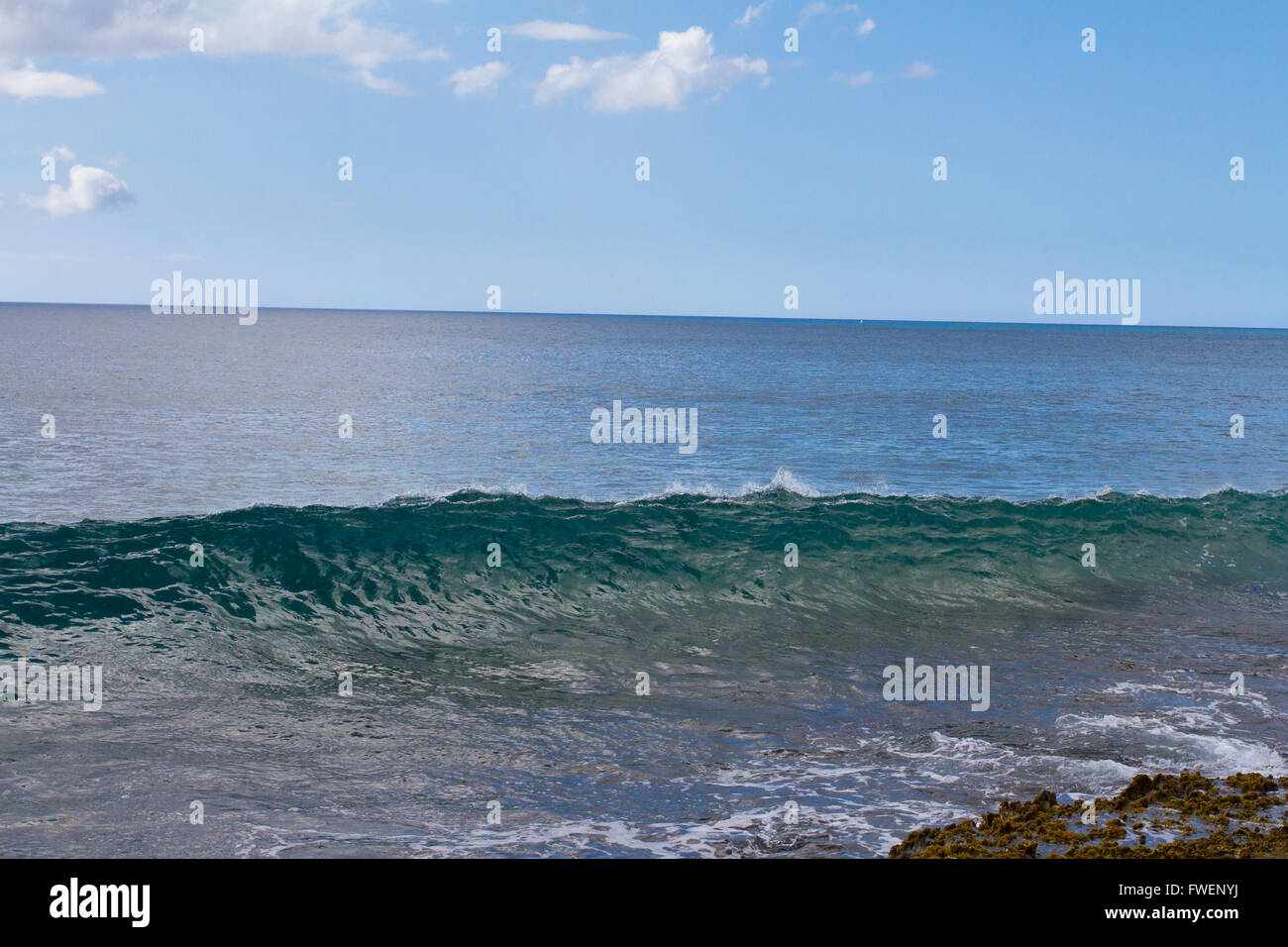 Questi quasi completamente chiaro onde sono il gonfiore e la rottura su alcune rocce su Oahu Hawaii. Queste onde sono interessanti e di Foto Stock