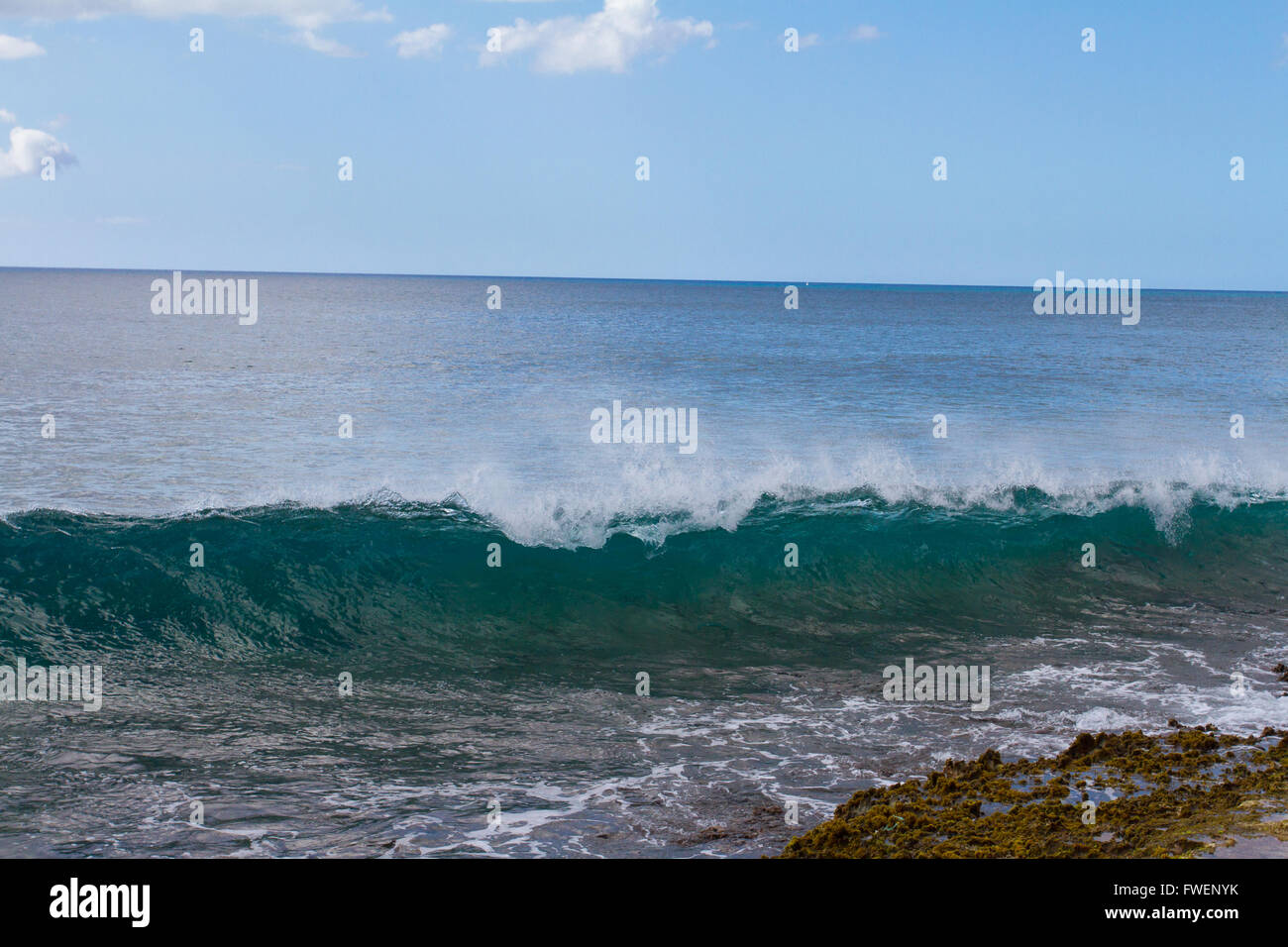 Questi quasi completamente chiaro onde sono il gonfiore e la rottura su alcune rocce su Oahu Hawaii. Queste onde sono interessanti e di Foto Stock