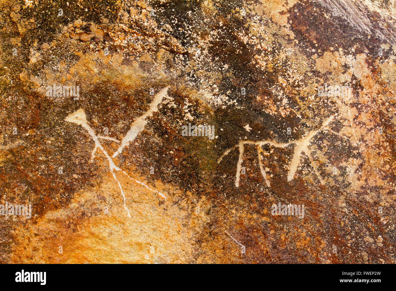 Questi geroglifico tribali disegni su pietra in Hawaii vicino al parto delle pietre di Oahu sono da secoli vecchio nativi. Foto Stock
