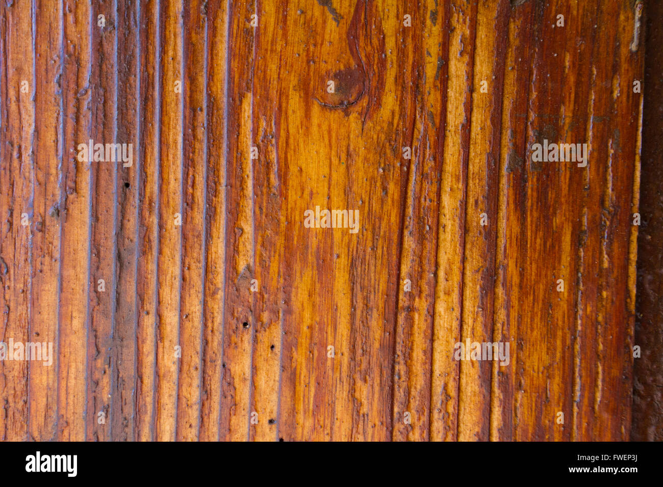 Queste strisce verticali sono tipiche di questo tipo di legno tropicale sull'isola di Hawaii. Questa immagine è un dettaglio di natura backgrou Foto Stock