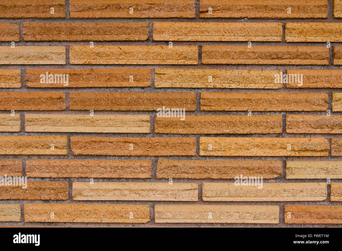 Varie consistenze sono fotografati in modo astratto per creare un tessiturali immagine di sfondo. Foto Stock