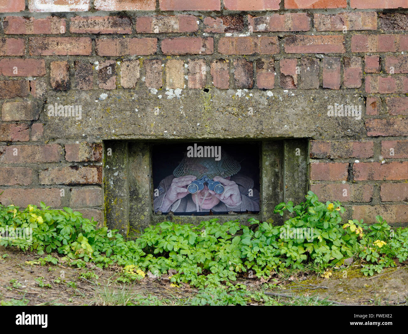 Sto guardando la! Foto umoristiche in un vecchio WW2 porta pillole bunker vicino a Weybourne, Norfolk Foto Stock