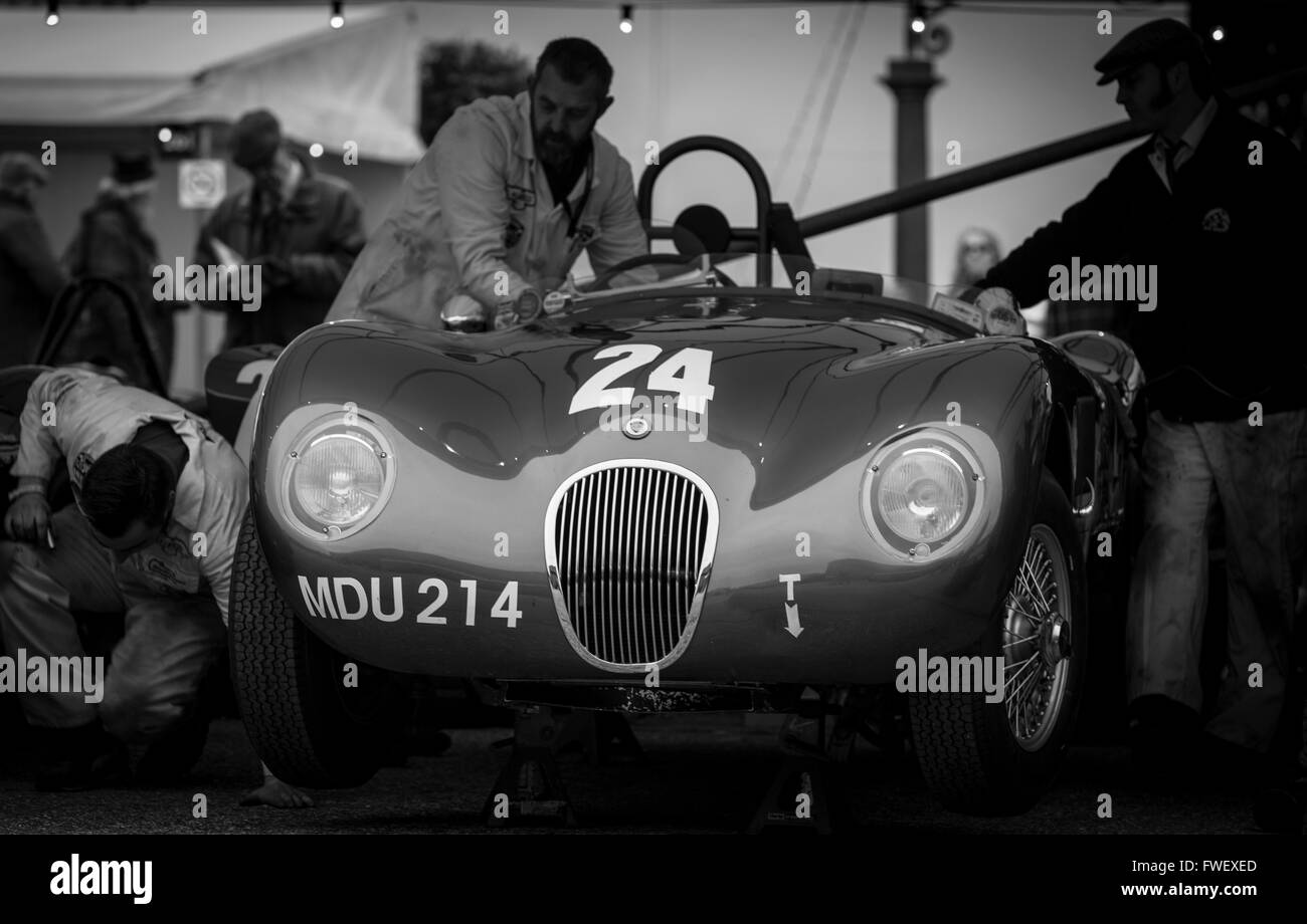 Una Jaguar C tipo nel paddock al 2016 Goodwood Assemblea dei Soci. Foto Stock