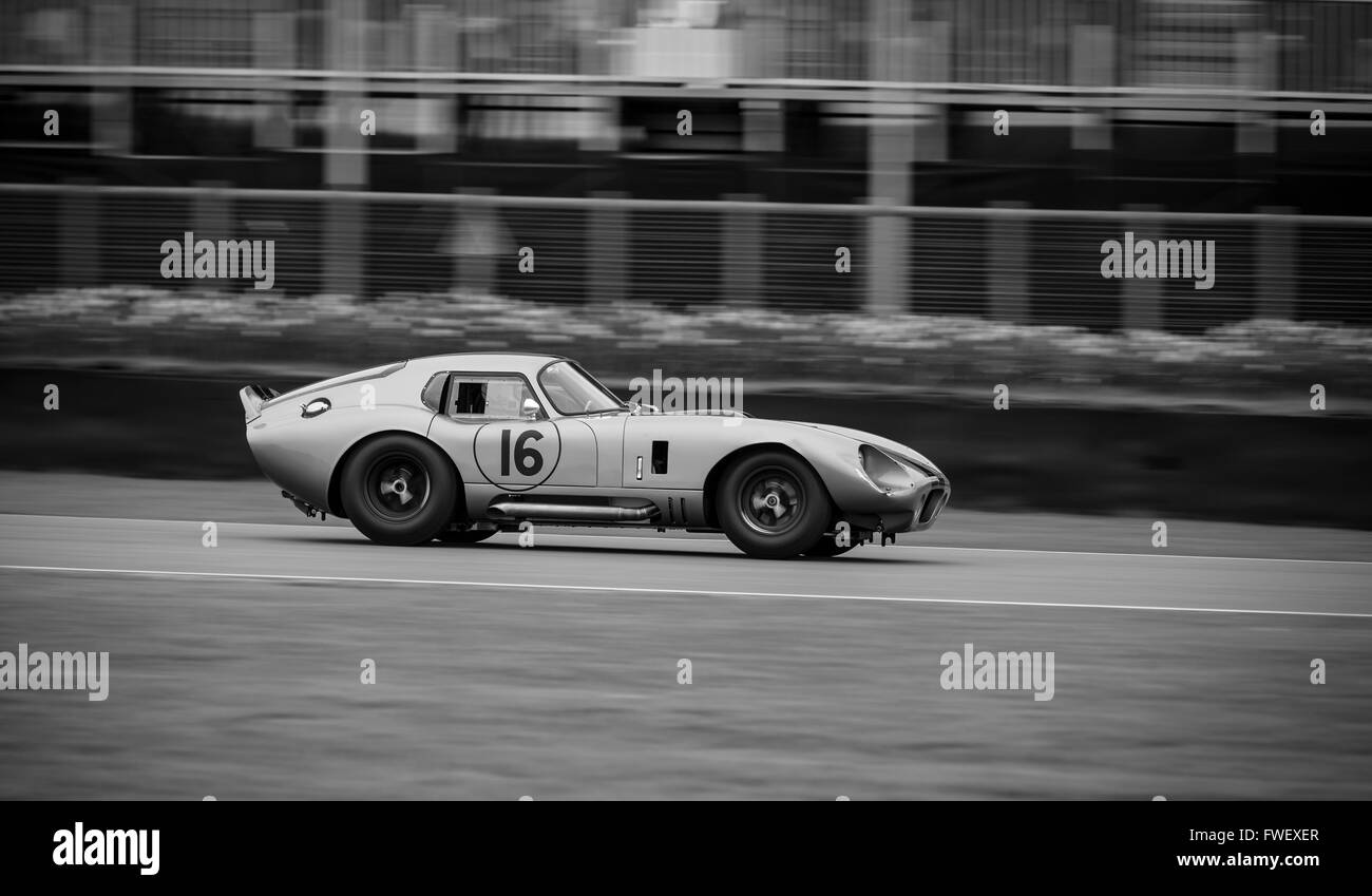 Una Shelby Daytona Coupe Racing alla 2016 Goodwood Assemblea dei Soci. Foto Stock