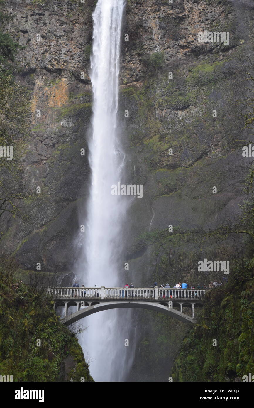 Cascate Multnomah, area superiore. Foto Stock