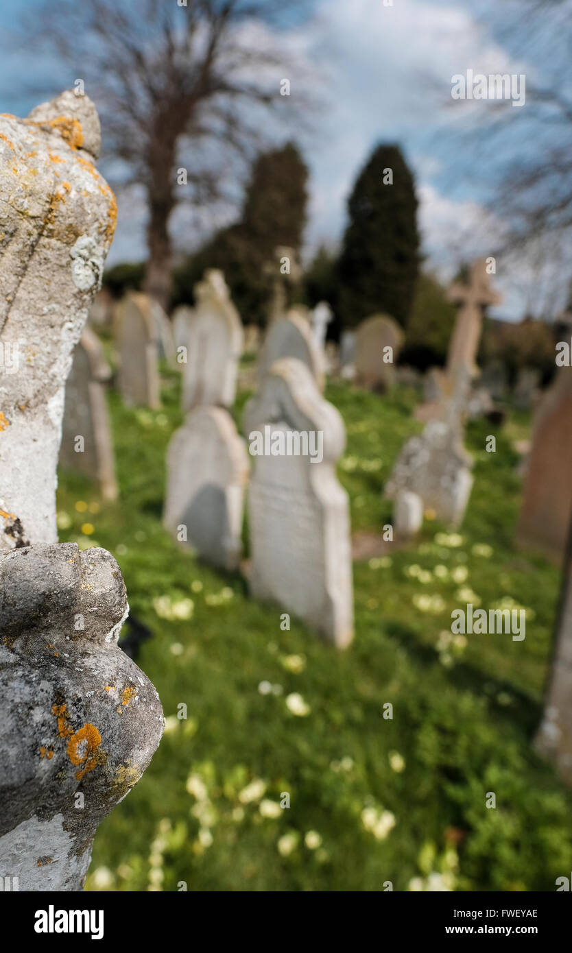 Tombe e tombe viste in un famoso cimitero inglese. Foto Stock