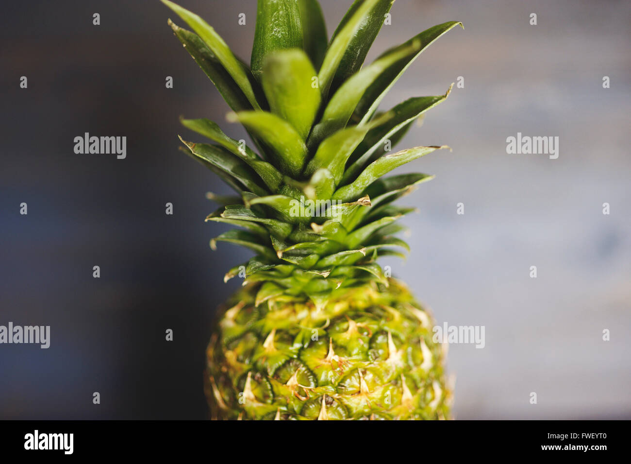 Ananas intero su sfondo blu Foto Stock