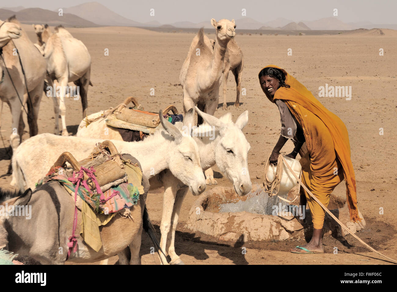Bayuda desert, nomade Bisharin donna a bene Foto Stock