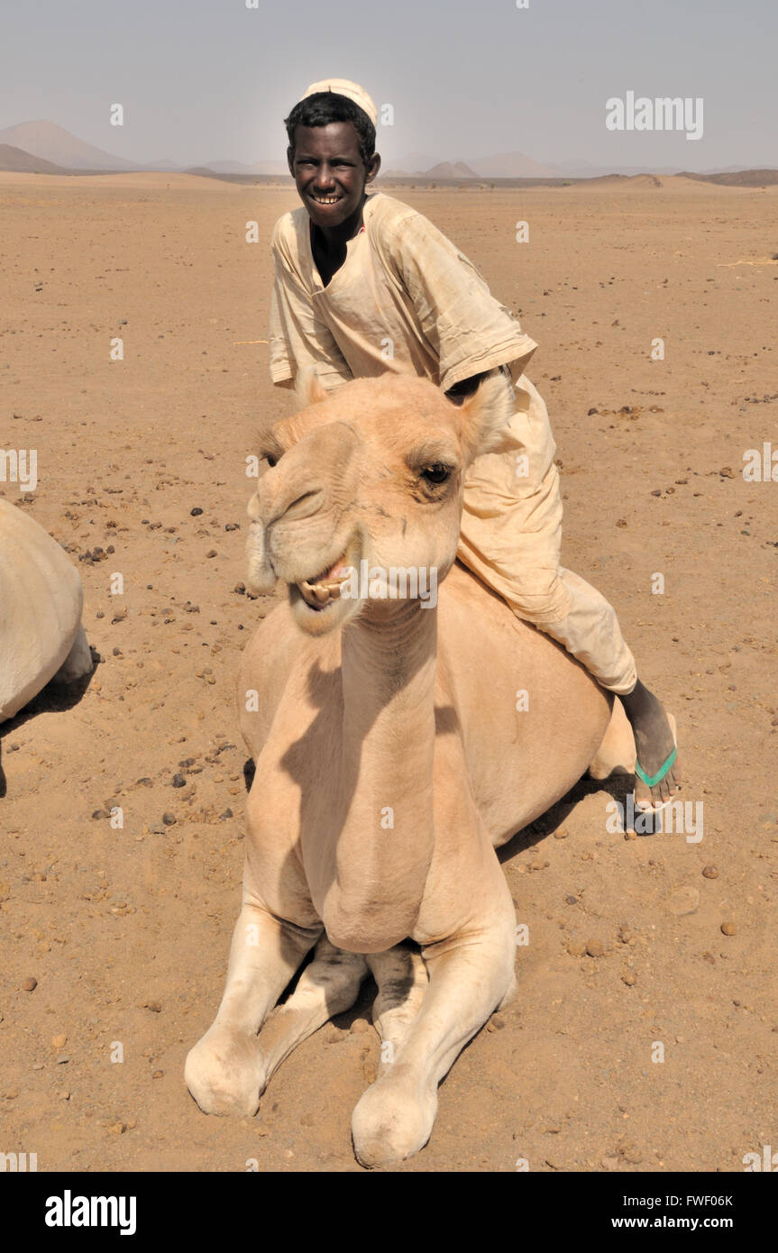 Bayuda desert, nomade Bisharin giovane in sella alla Camel ben Foto Stock